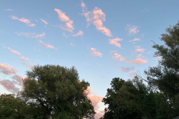 Blue sky with pink clouds