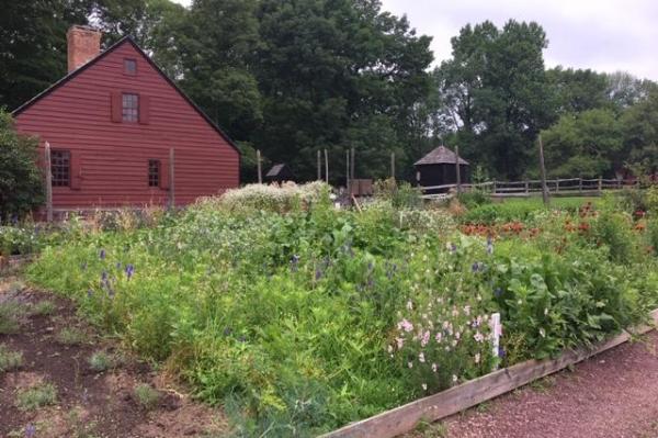 Garden with flowers and plants and 18th century farm house in background