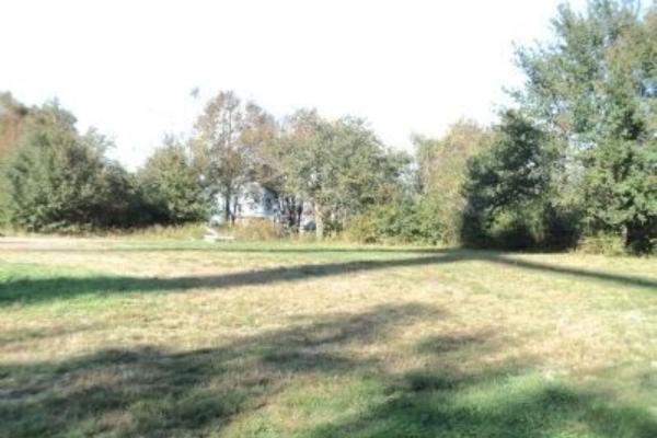 A sunlit grassy field stretches toward a dense line of leafy trees, with long shadows cast across the ground.