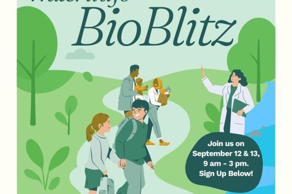 Event flyer for BioBlitz