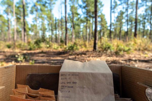 Items from the Camden archealogical dig on the battlefield