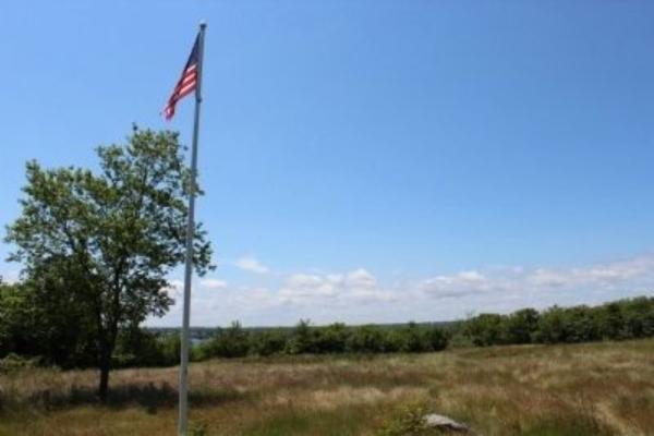 A tall flagpole flying the U.S. flag rises from an open grassy field, with a leafy green tree beside it and a line of trees along the horizon.