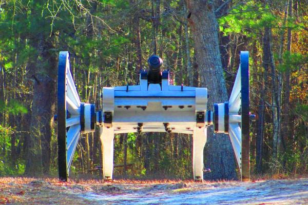 Cannon at Moore's Creek.