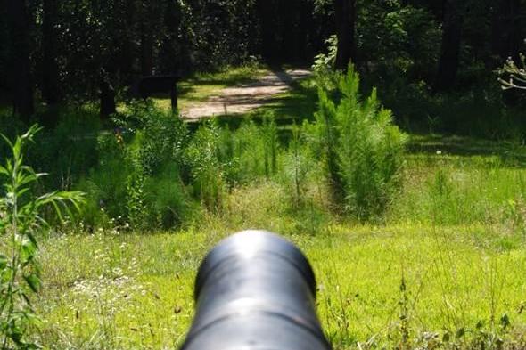 Cannon overlooking field at Moore's Creek.