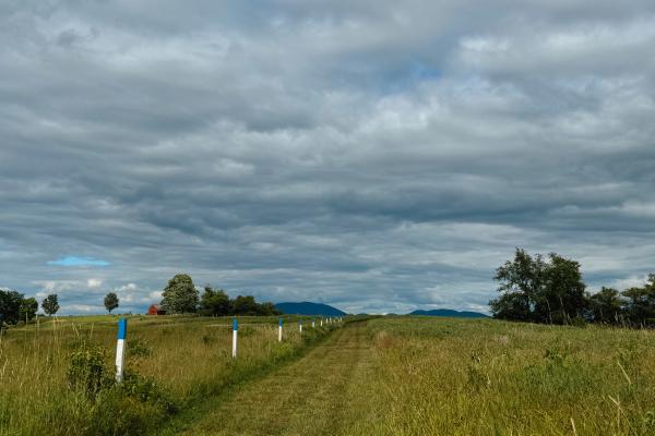 A mowed path cuts through a field. A red house and mountains are in the background.