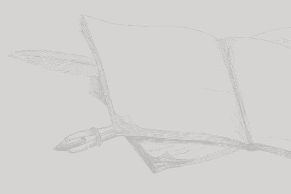 This is a drawing of a blank, open journal and a quill.