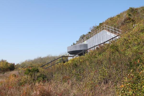 Battery Harris East with surronding foliage