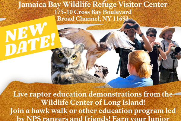 Flyer with Raptorama festival details listed