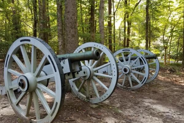 Two cannons on grey carriages (wheels) sit in a forest