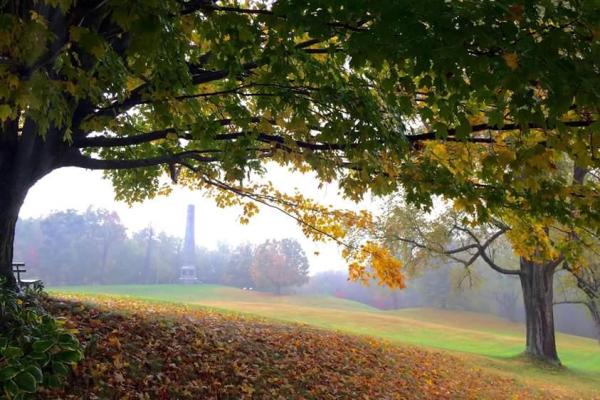 Through a misty field, you see streaks of vibrant green, yellow, & orange as leaves fall from trees.