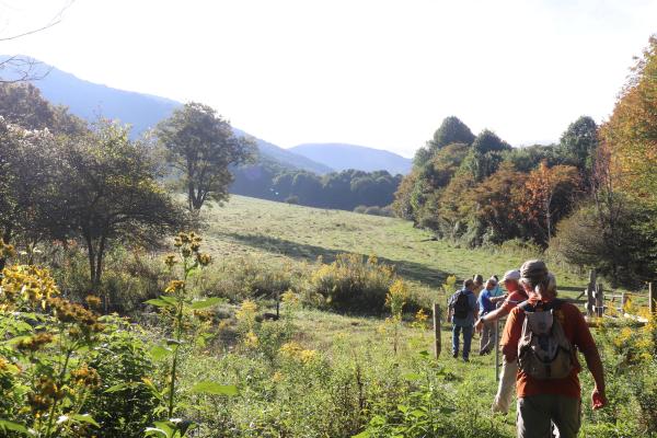 5 people are hiking along a trail surrounded by mountains and wildflowers and trees.