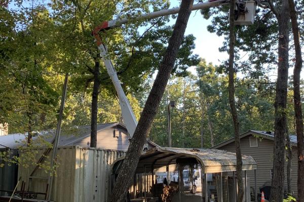 An arborist in a bucket truck works to remove hazard trees threatening buildings.