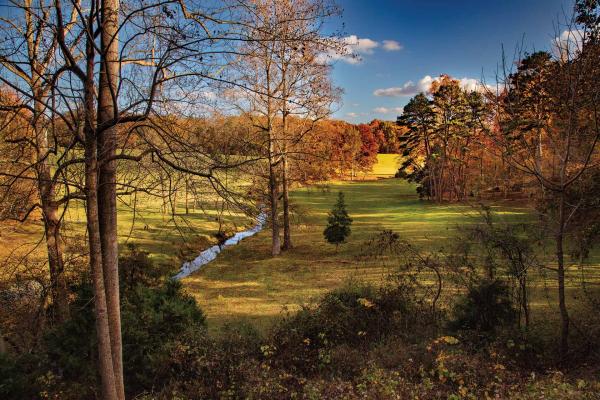 Fall foliage at Kings Mountain National Military Park