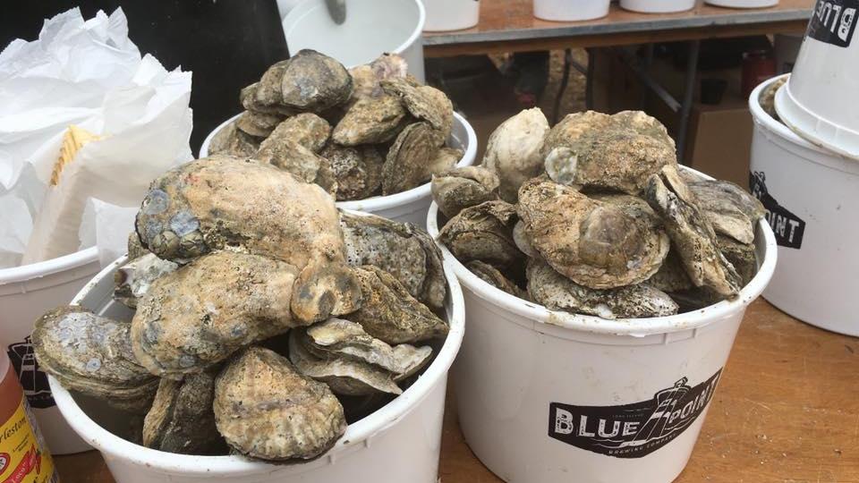 Bucket of Oysters