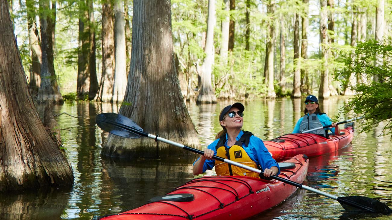 image of two women kayaking in swampy water surrounded by trees
