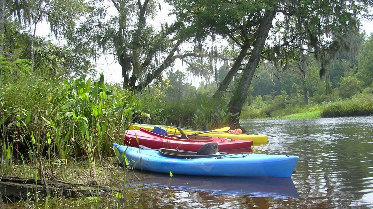 Hardbody Kayaks on the banks of Wadboo Creek