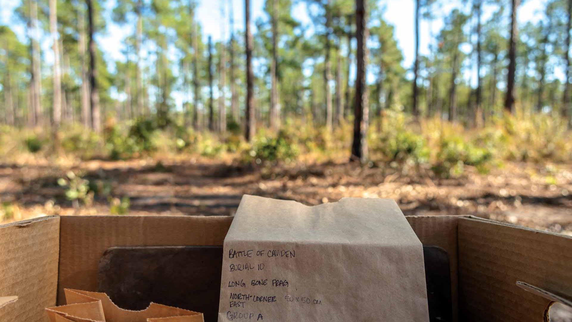 Items from the Camden archealogical dig on the battlefield