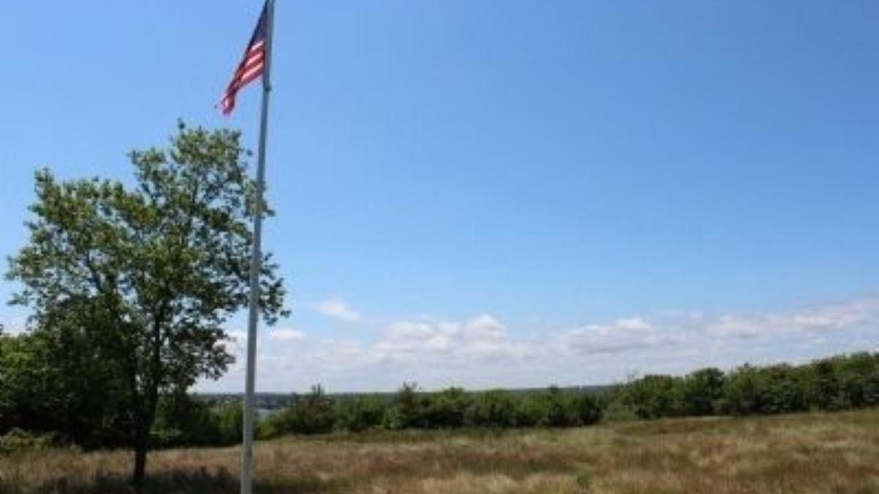 A tall flagpole flying the U.S. flag rises from an open grassy field, with a leafy green tree beside it and a line of trees along the horizon.