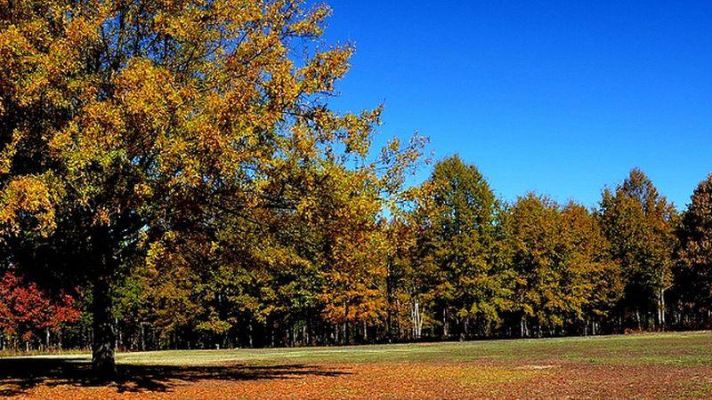 Cowpens Battlefield