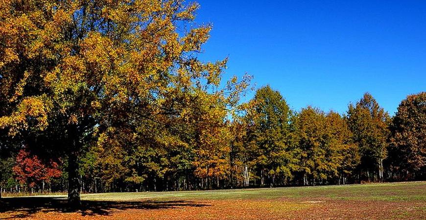 Cowpens Battlefield