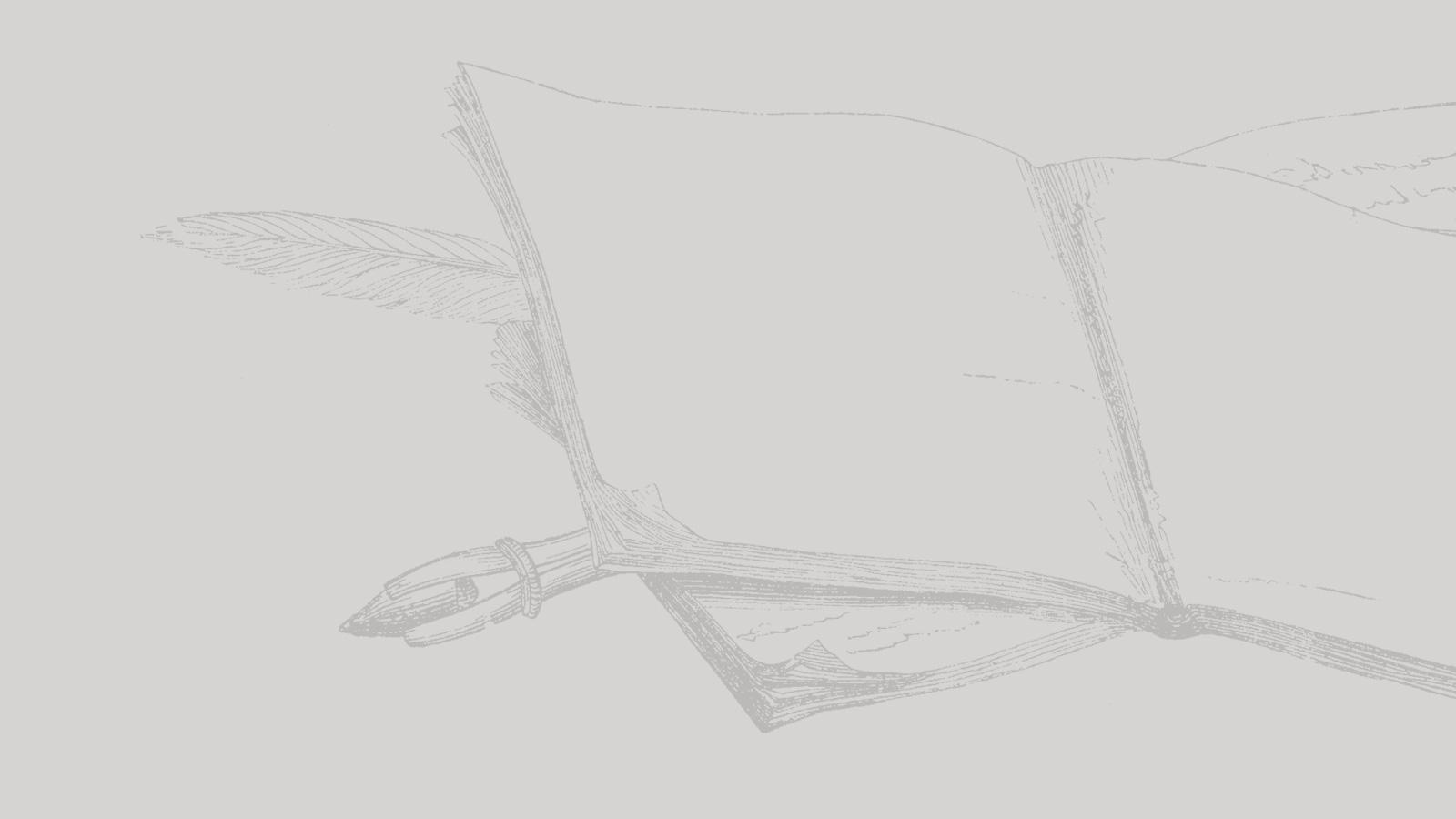 This is a drawing of a blank, open journal and a quill.