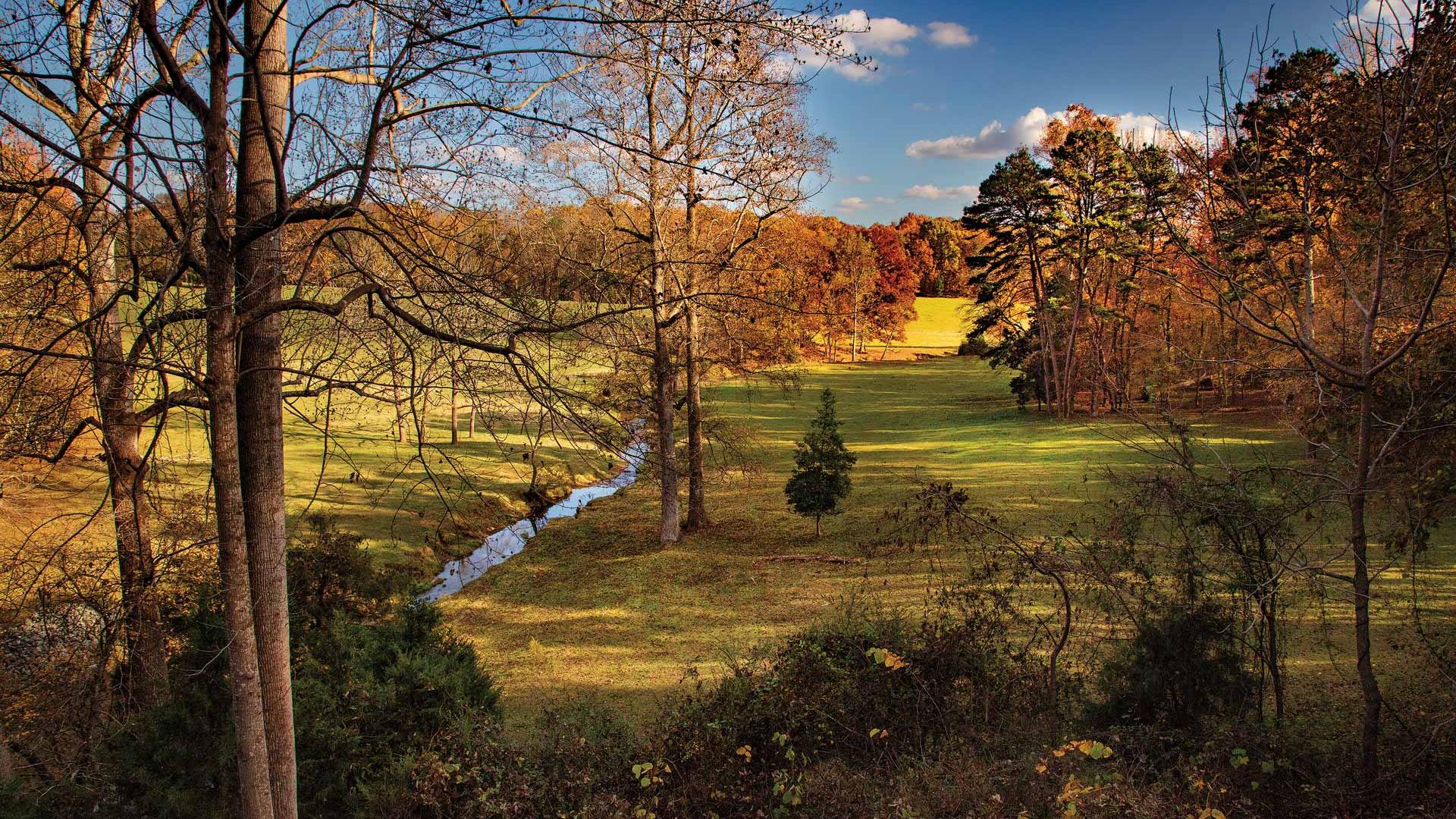 Fall foliage at Kings Mountain National Military Park