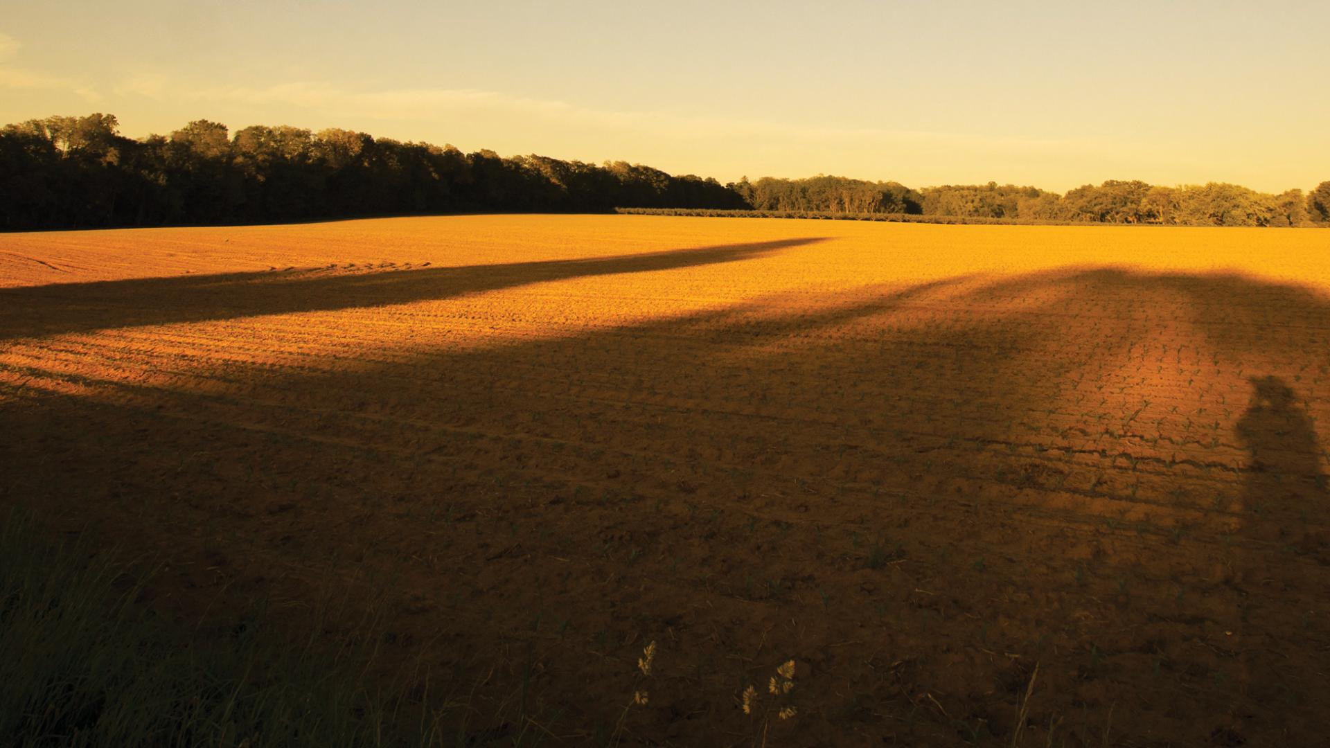 This is a photograph of the Monmouth battlefield during a golden sunset.