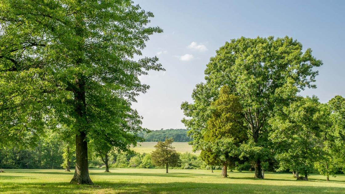 Photograph of Combs Hill at Monmouth