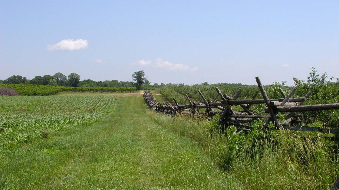 Photograph of the Hedgerow at Monmouth, by Bryan Olson