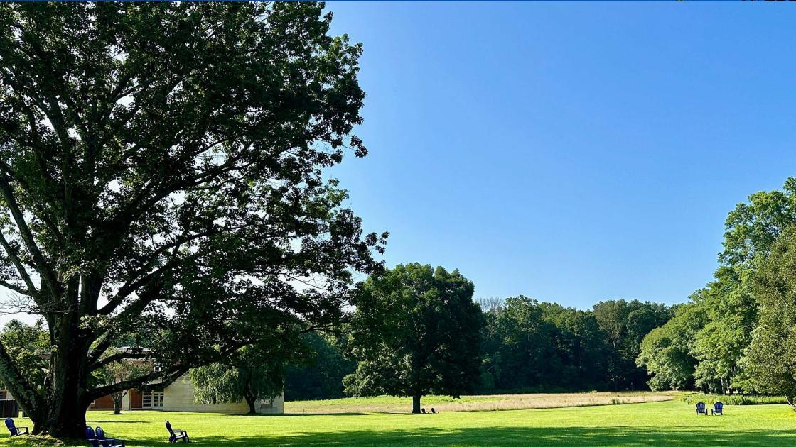 Institute Woods at Princeton