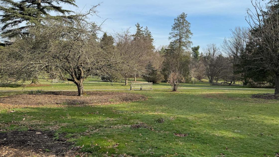 Mercer Hill at Marquand Park