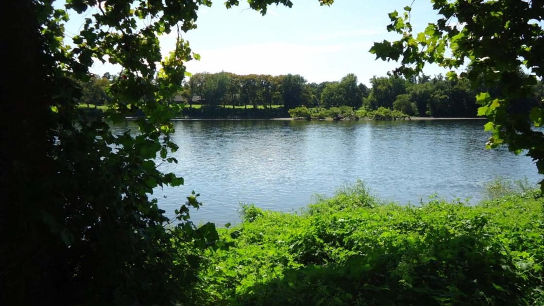 View of the Delaware River from Washington Crossing State Park NJ