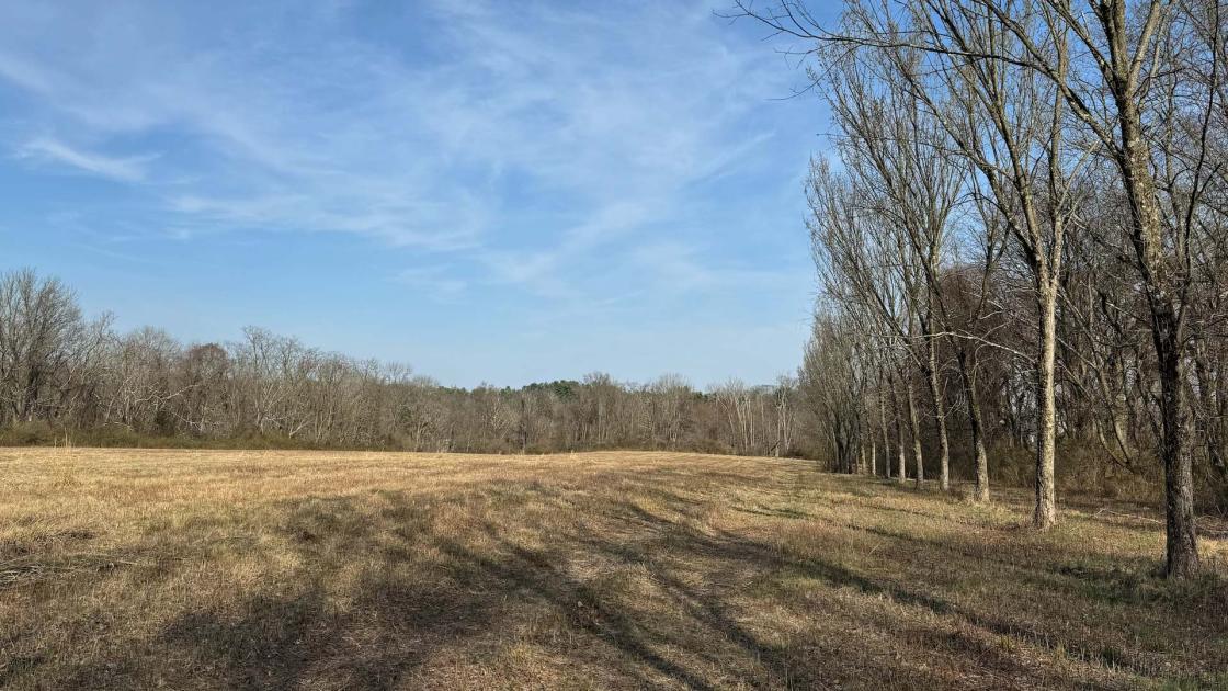 Historic Overlook Park