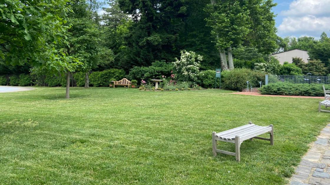 Remains of British Artillery Defenses by Olvia Bucs