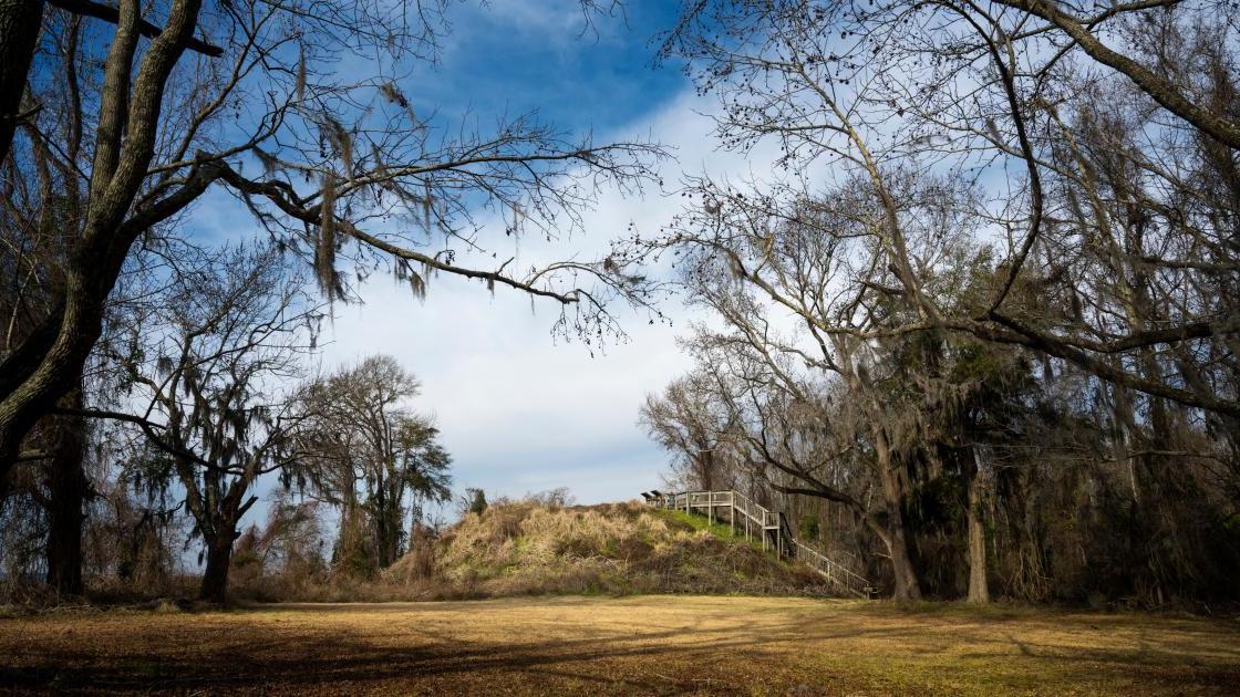 Fort Watson (The Mound Fort) by Mike Talplacido