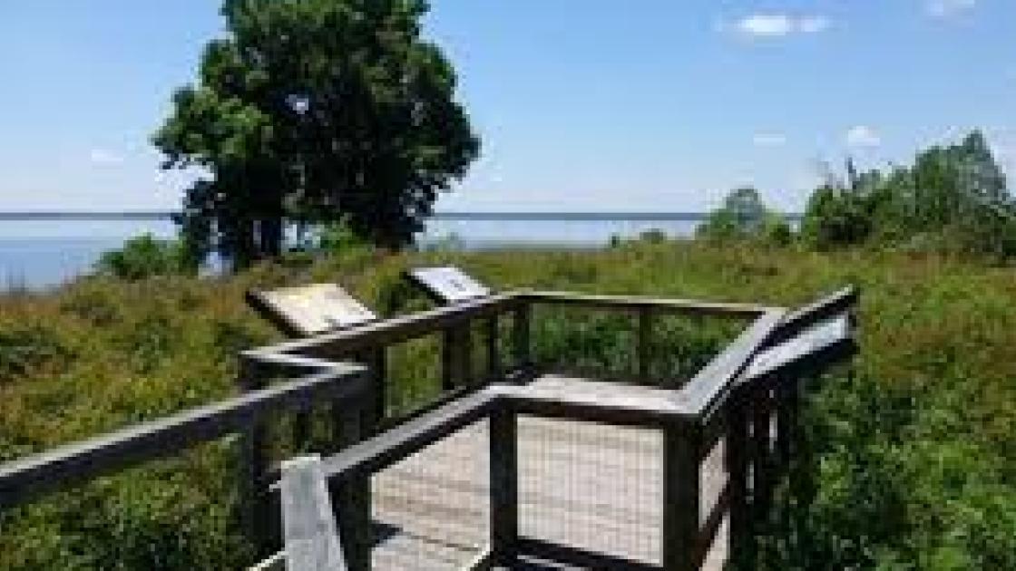 Fort Watson Mound Top