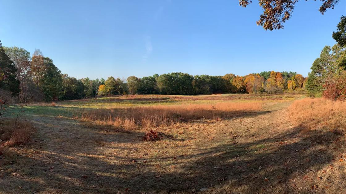 Fiske Meadow Courtesy of the NPS