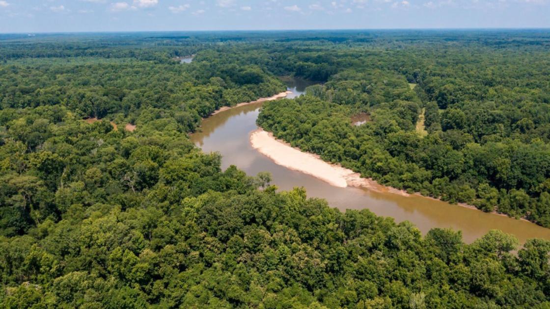 Snow's Island Preservation Aerial Shot