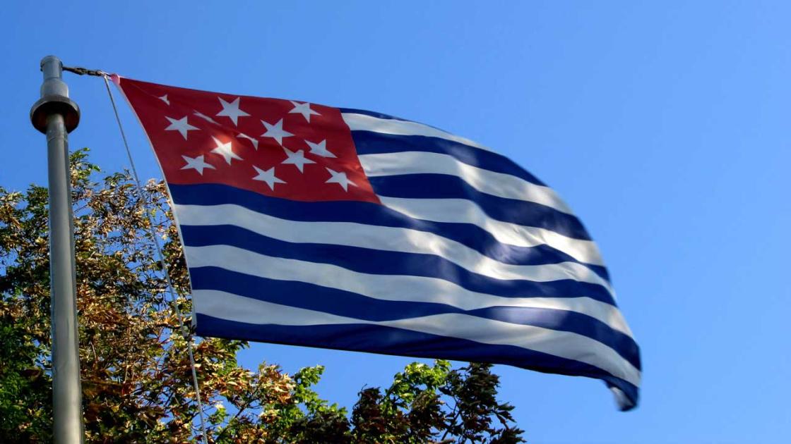 Fort Mercer Garrison Flag