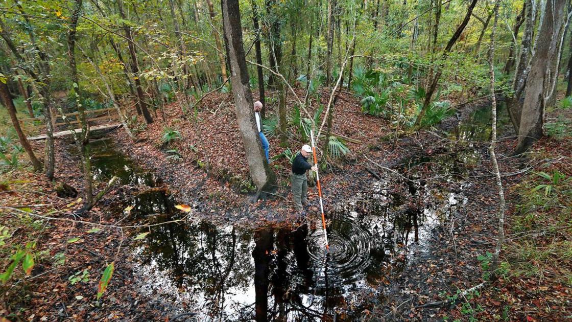 Fort Fair Lawn Conservation Efforts