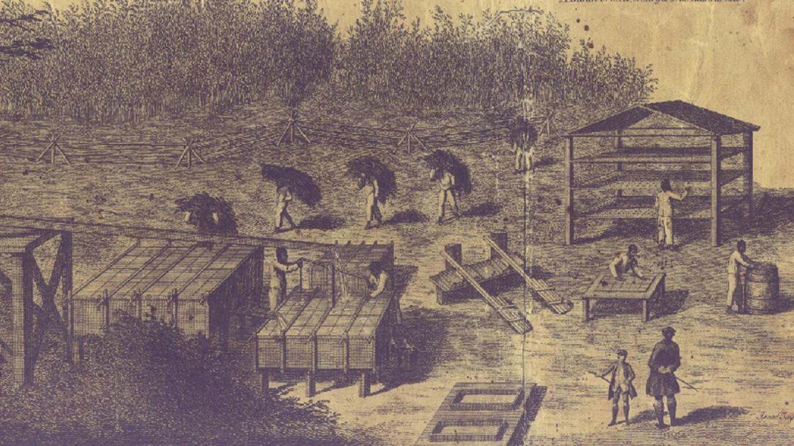 Fort Fair Lawn Mouzon Detail