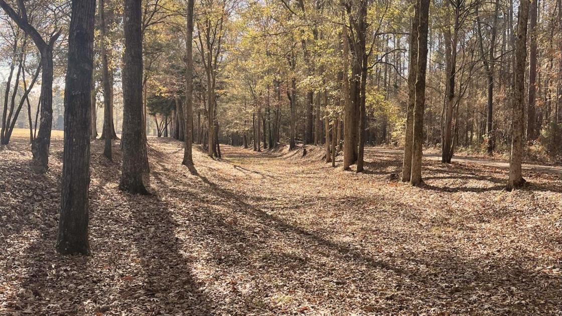 Patriots March Toward Ninety Six Stop