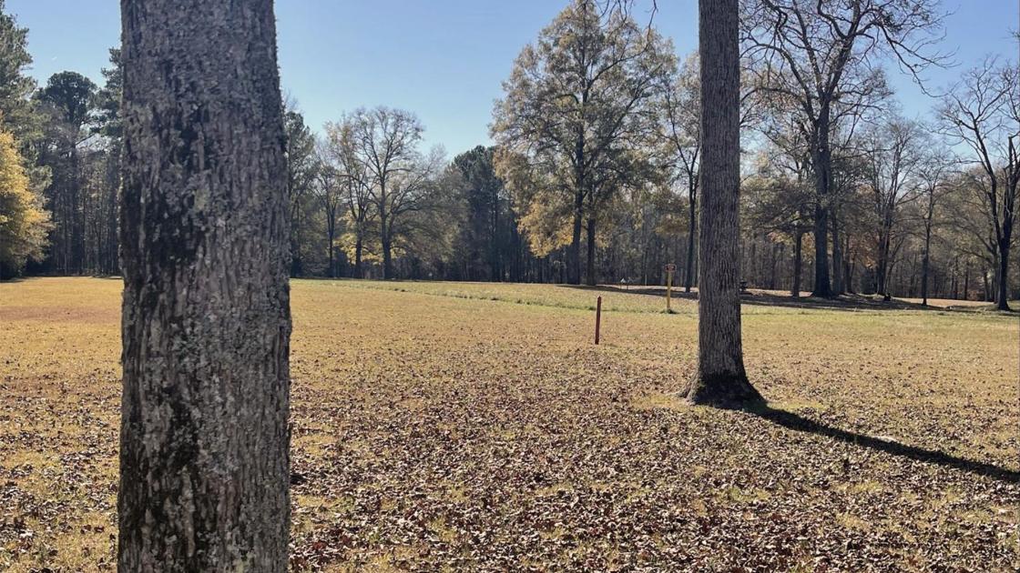 Black Patriots at Ninety Six