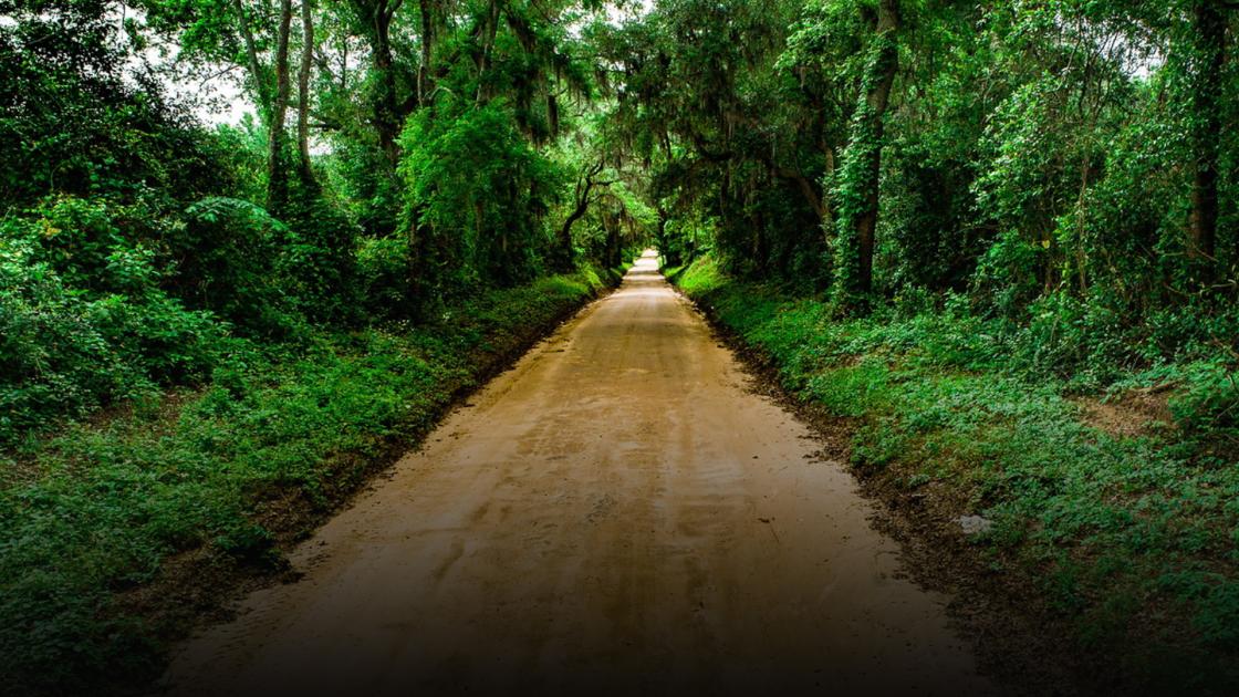 Eutaw Springs Dirt Road by Ryan Montgomery