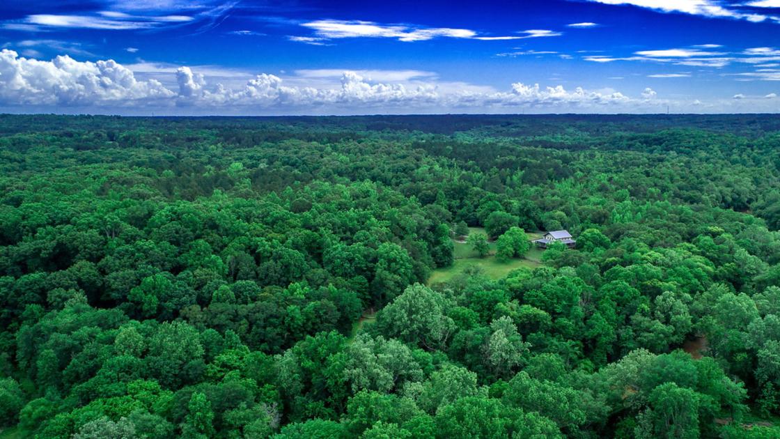 Aerial Photo of Musgrove Mill by Ryan Montgomery