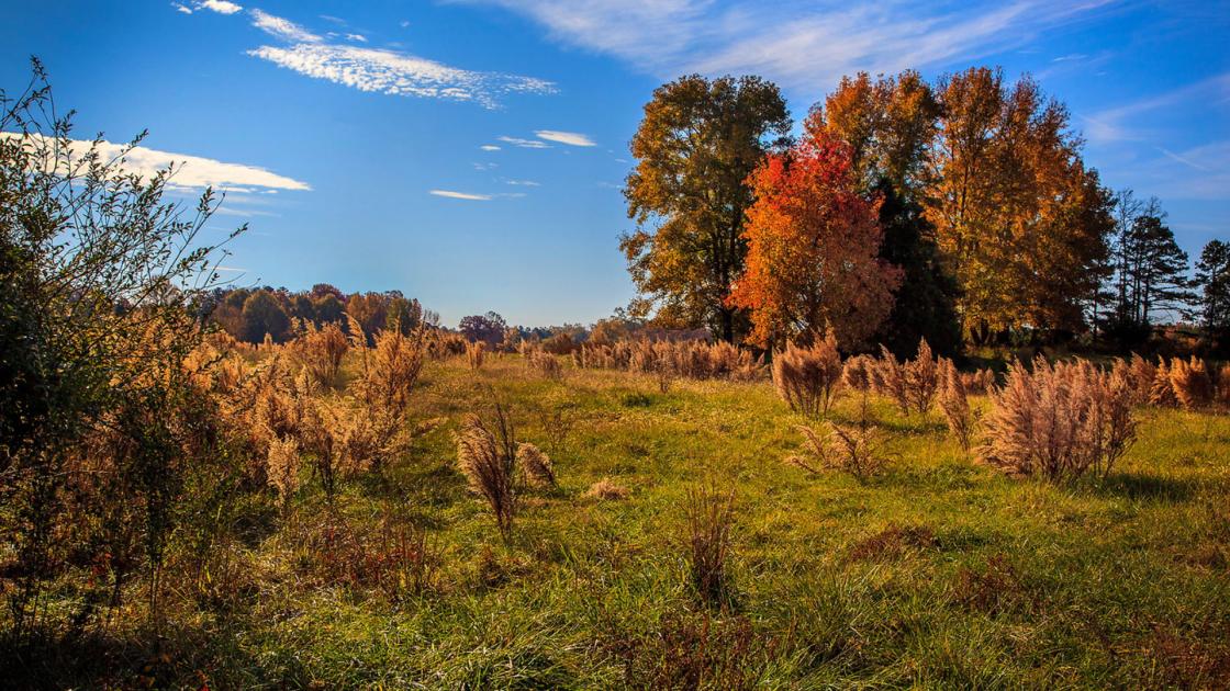 Waxhaws Landscape by Mark Thornberry