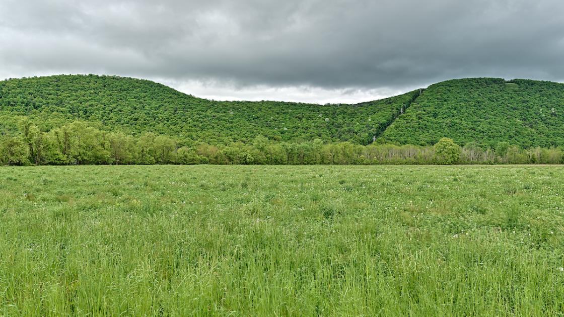 Hill at Newtown (Clinton & Poor's Ascent)