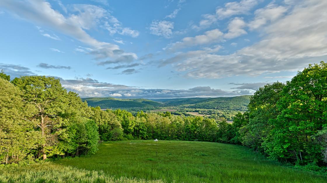 Newtown Park Overlook