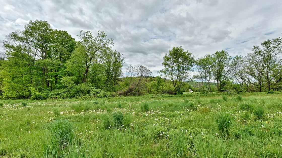 Bennington Retreat Field photographed by Brandon Hull