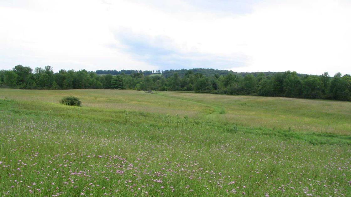 Photo of the Barber Wheatfield by Ken Lund